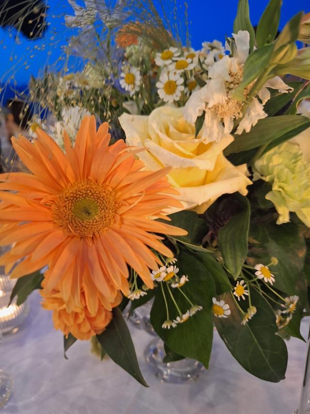 Montenero in Fiore - 1