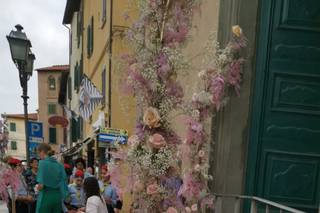 I Fiori di Cati - 21