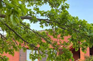 DJ Tommy B Wedding Entertainment - 6