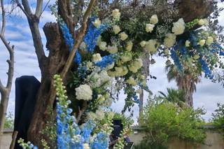 Annalisa Flowers - 7