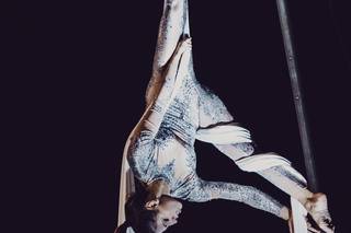 Stefania Ventura - 5