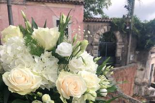 La Rosa d'Oro - 6