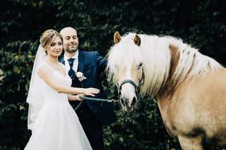 Marcel Crisan Photography - 6