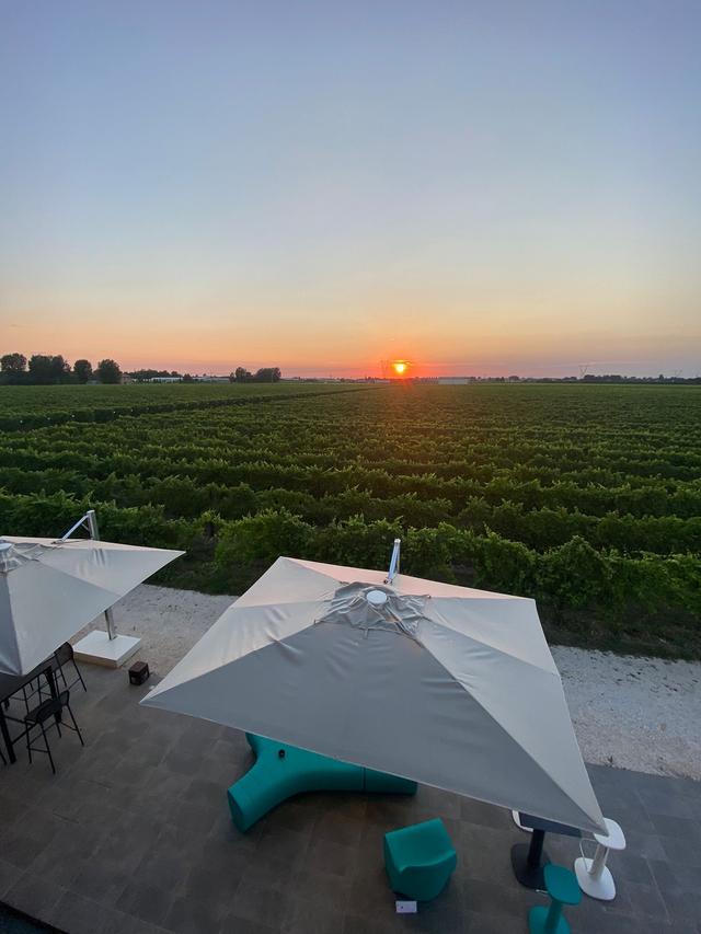 Cantina Ventiventi - 2