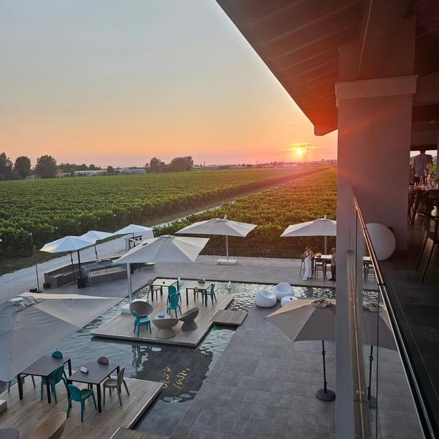 Cantina Ventiventi - 1