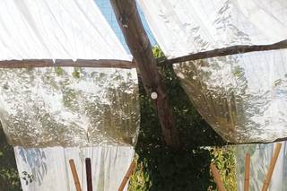 Sabrina Serafinelli Event - 14