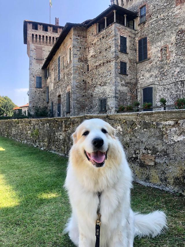 Che vita da cane - 3