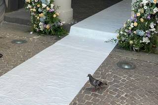 Nicola Iodice Florist - 12