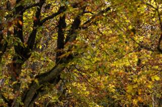 Francesca Alberico Photography - 10