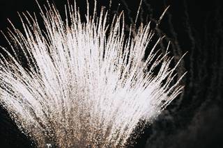 Momaxphoto - 6