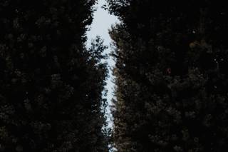 Nero Photography - 5
