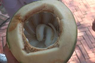 Rossocorallo Viaggi - 6