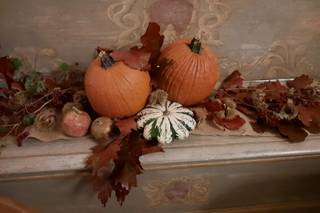 Fioreria Idea Verde Rimini - 26