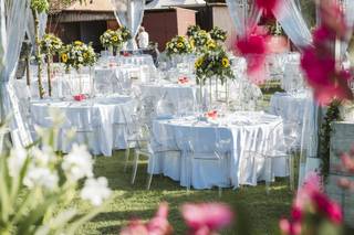 Excelsius Catering - 24