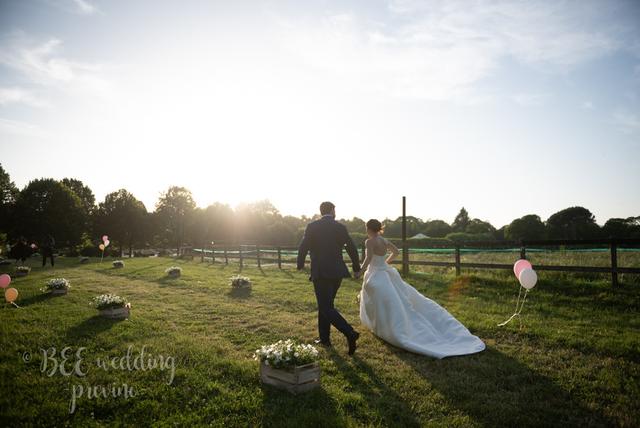 Bee Wedding - 1