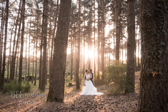 Bee Wedding - 2