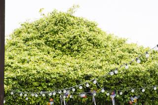 Agriturismo Raimondi - 5