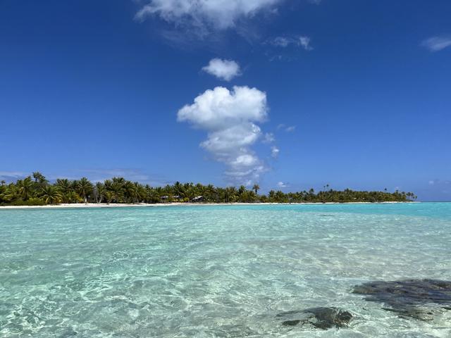 senza frontiere s.r.l. - 1