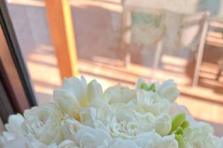 Anna Mattacchione flowers - 5