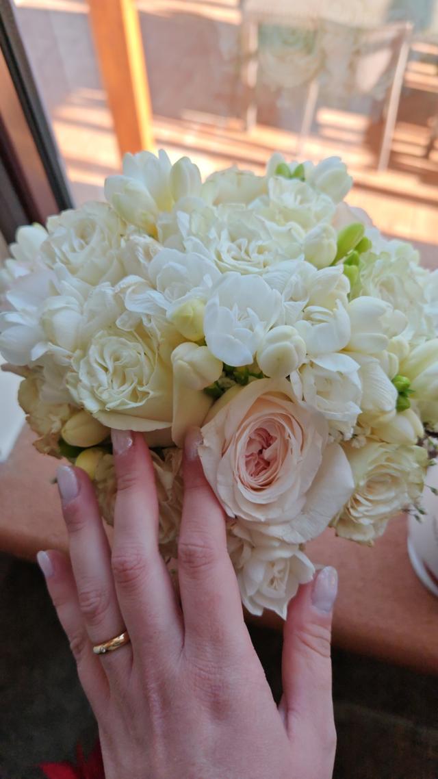 Anna Mattacchione flowers - 2
