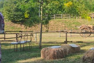 Ranch Mary - 7