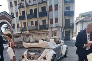 Le Auto di Magnolia - 11