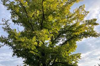 Giardini La Pergola - 26