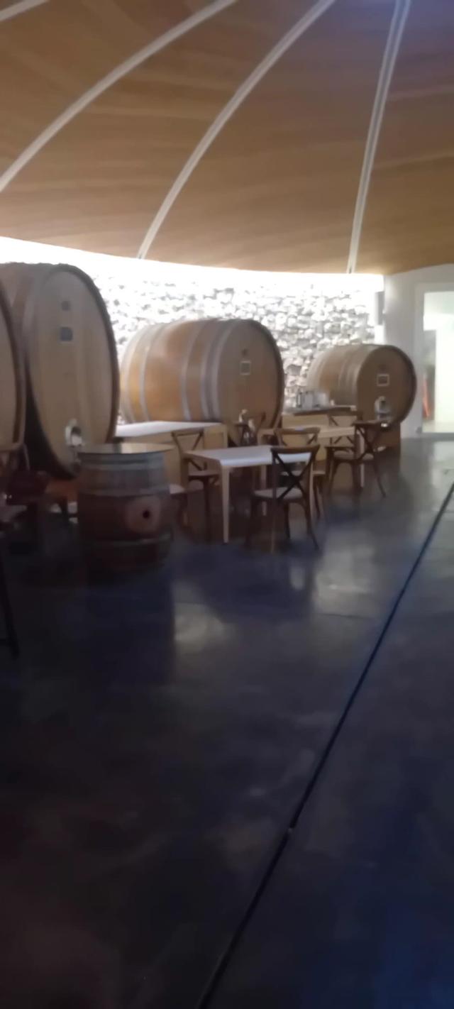 Tenuta Masselina - 3