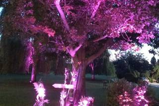 Pvlse - Music & Lights - 9