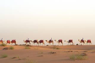 Viaggi Beltrami - 15