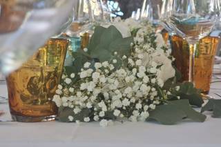 Floricultura Ruggeri - 6