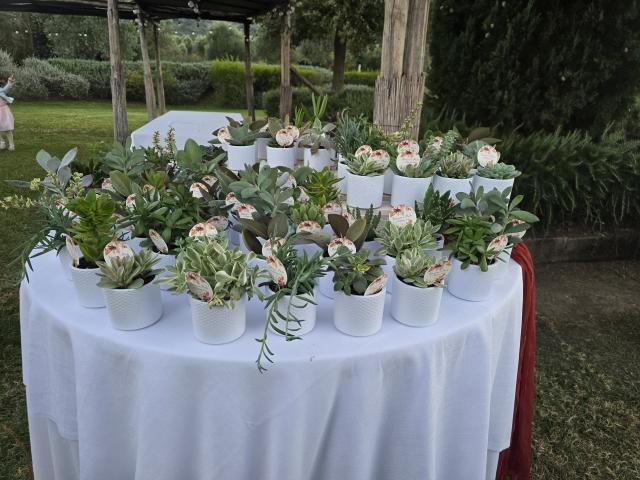 Ciacciflor - Flower Design - 4