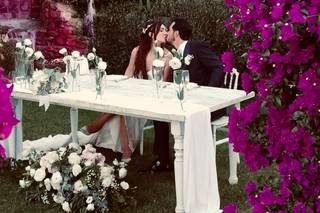 Tenuta Porta Ventura - 19