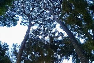 Due Destini - Wedding & Event Planner - 16