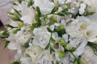 Asso dei Fiori - 16