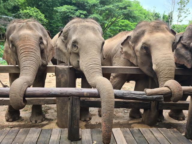 Agenzia Viaggi Santerno - 4