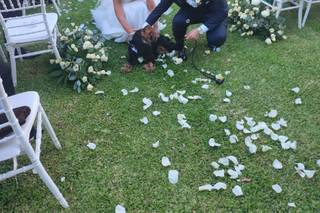 Ciro Magnesa Fotografo - 7