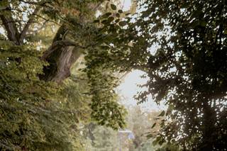 NeroQuette Reportage Photography - 7