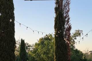 Tenuta di Fiorano - 10