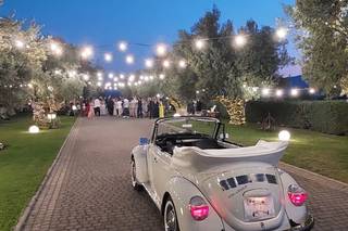 Tenuta Contessa - 10