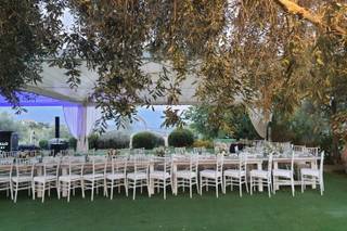 Tenuta Contessa - 11