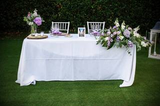 Il giardino delle meraviglie - 24