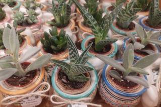 Mezzaluna bomboniere - 9