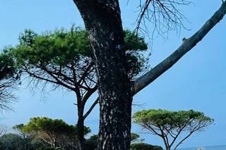 Flow Event Design - 9