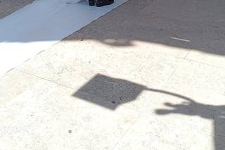 Flowers Design by Ferrara 2.0 - 7