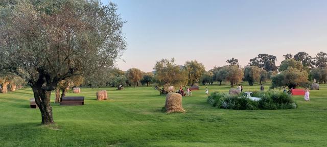 Masseria Falco - 3