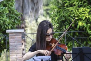 White Music&More - 7