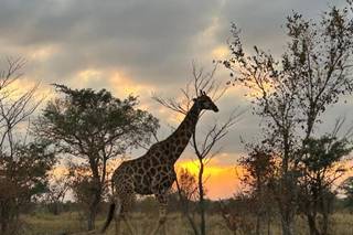 La Superba Viaggi & Vacanze - 10