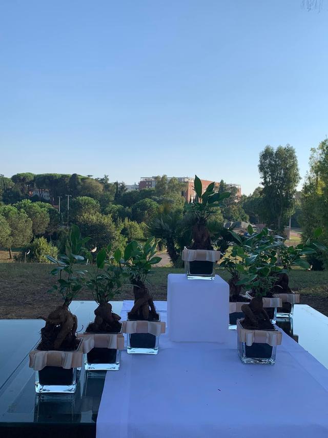 La Boutique dei Tuoi Eventi - 1