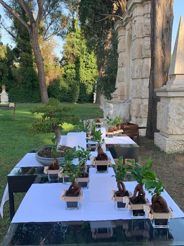 La Boutique dei Tuoi Eventi - 2